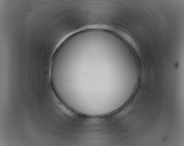 X0000093241228200709261523