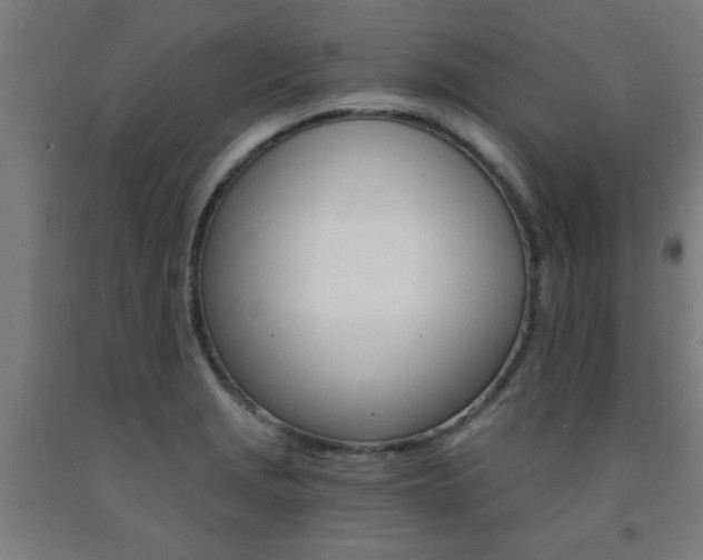 X0000093241229200709261523
