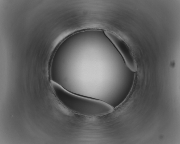 X0000093241230200709261523