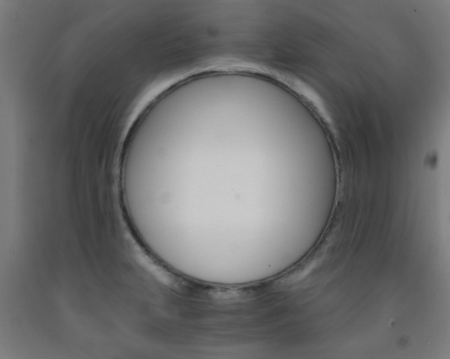 X0000093241231200709261523