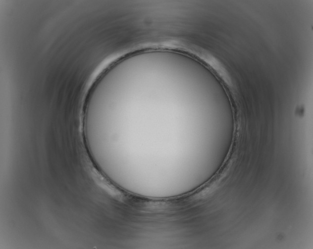 X0000093241232200709261523