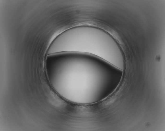 X0000093241234200709261523