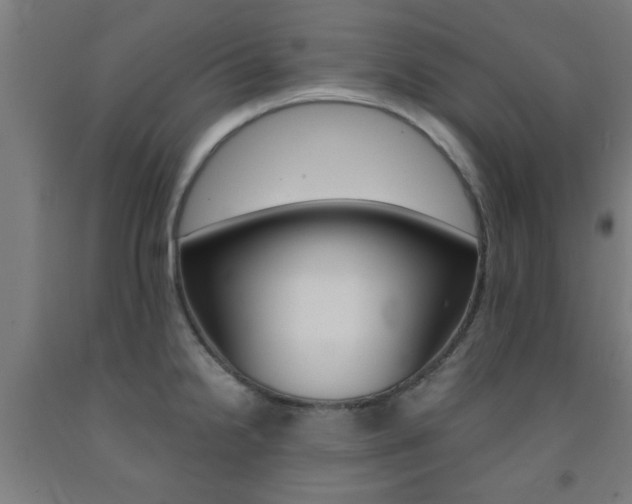 X0000093241238200709261523
