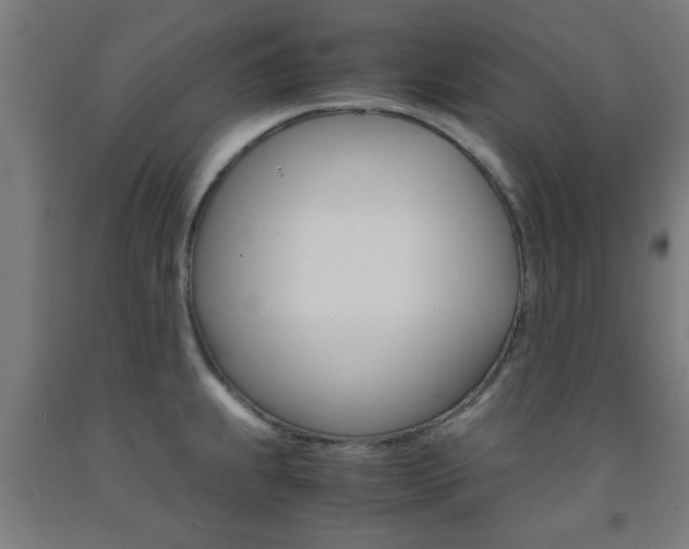 X0000093241239200709261523