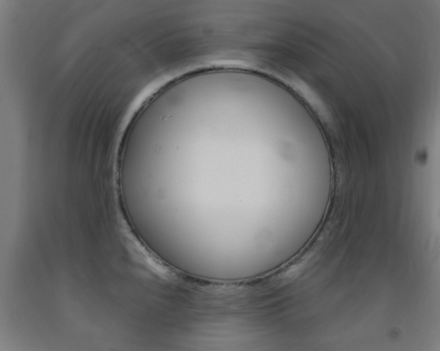 X0000093241240200709261523