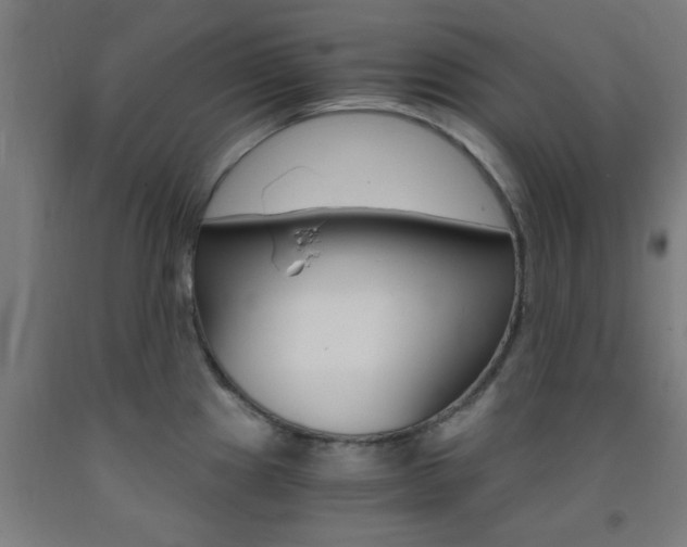 X0000093241241200709261523