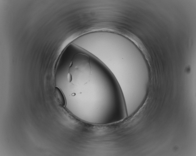 X0000093241242200709261523