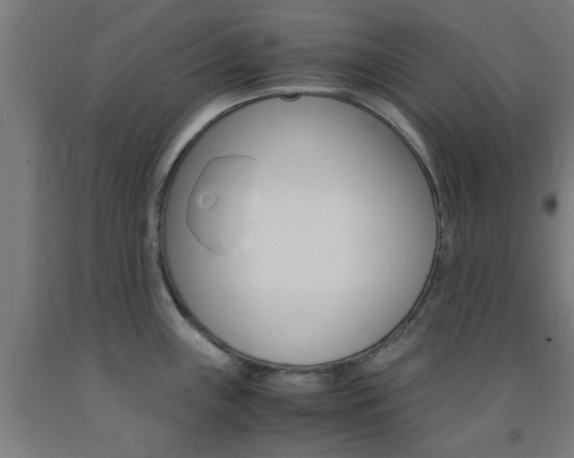X0000093241243200709261523