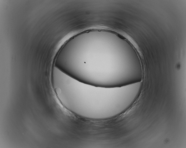 X0000093241245200709261524