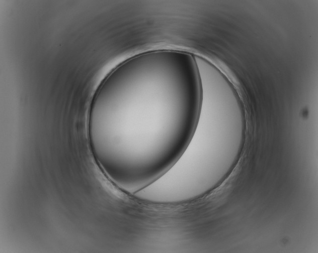 X0000093241246200709261524