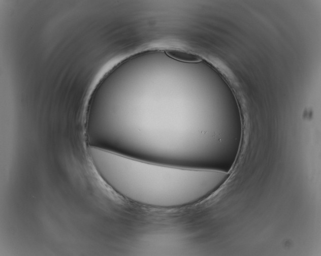 X0000093241248200709261524