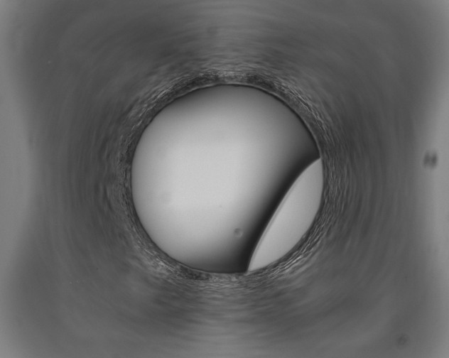X0000093241249200709261523