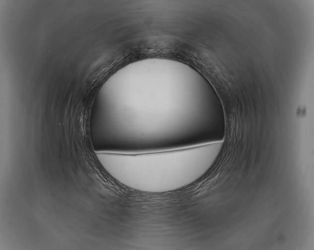 X0000093241250200709261523