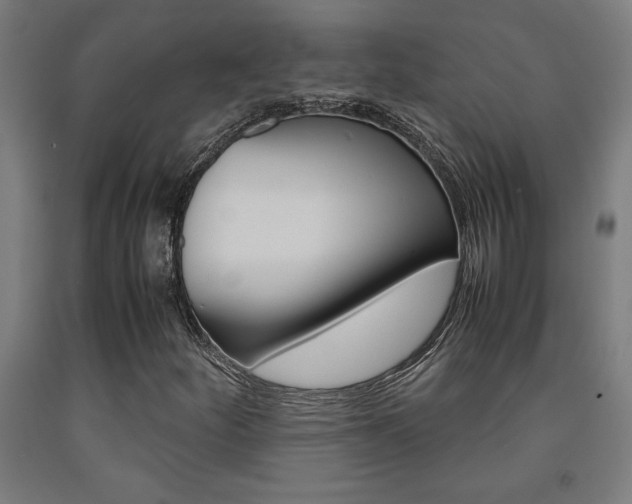 X0000093241252200709261523