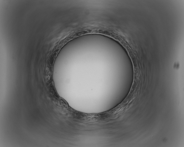 X0000093241253200709261523