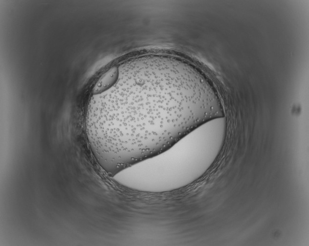 X0000093241255200709261523