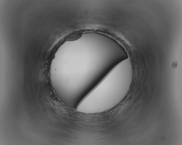X0000093241256200709261523
