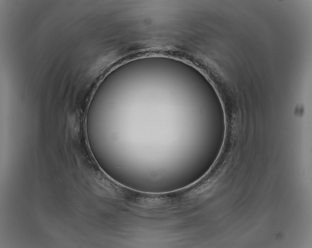 X0000093241257200709261523