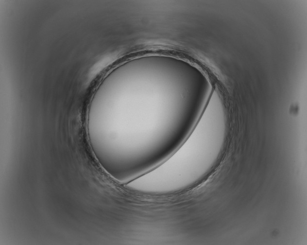 X0000093241261200709261523