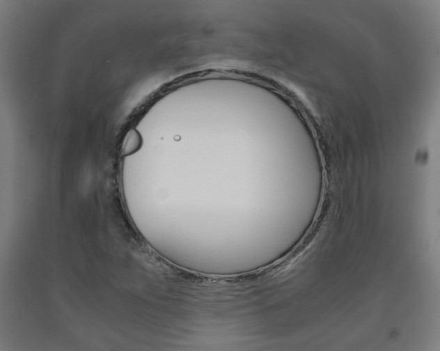 X0000093241263200709261523