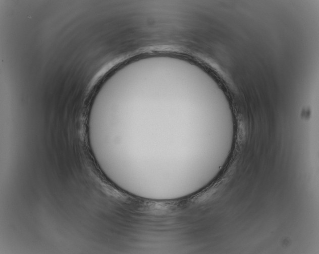 X0000093241266200709261523