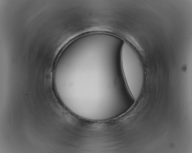 X0000093241268200709261523