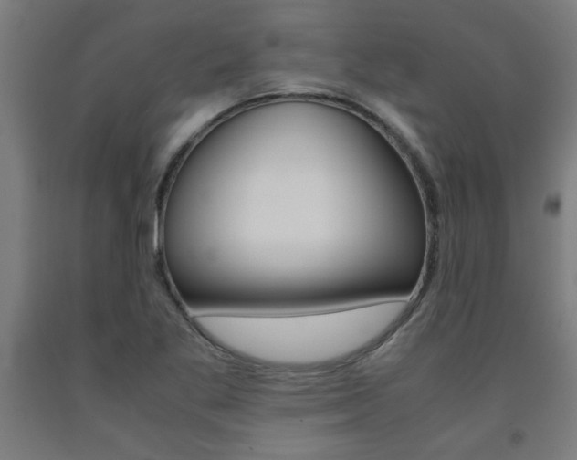 X0000093241269200709261523