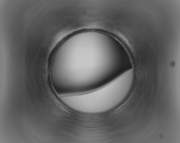 X0000093241270200709261523