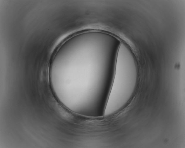 X0000093241272200709261523