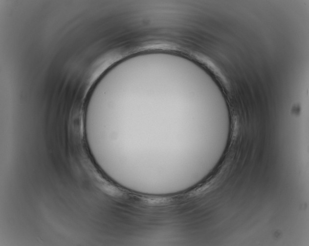 X0000093241274200709261523