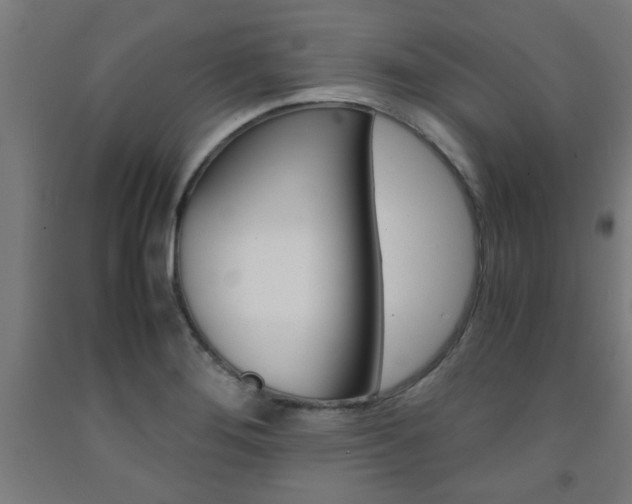 X0000093241276200709261523