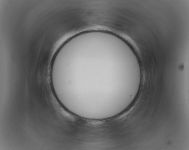 X0000093241278200709261523