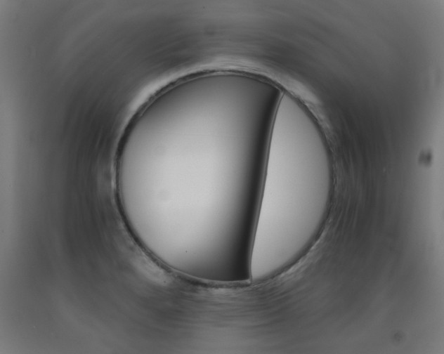 X0000093241280200709261523