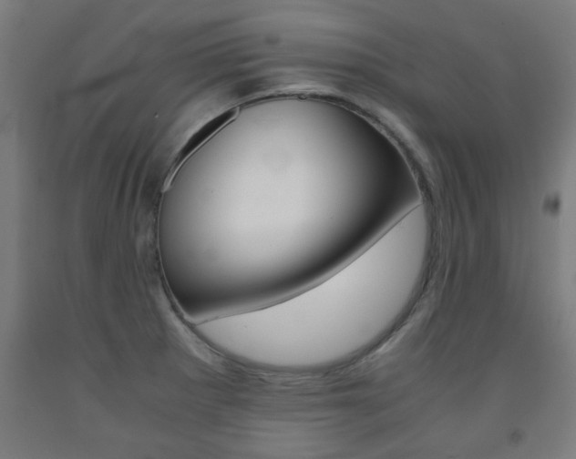 X0000093241281200709261523