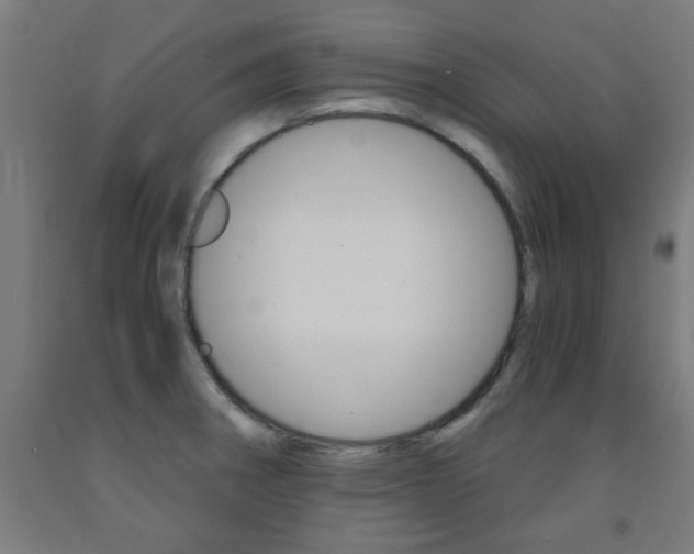 X0000093241282200709261523
