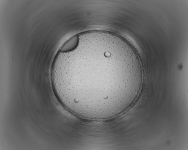 X0000093241283200709261523