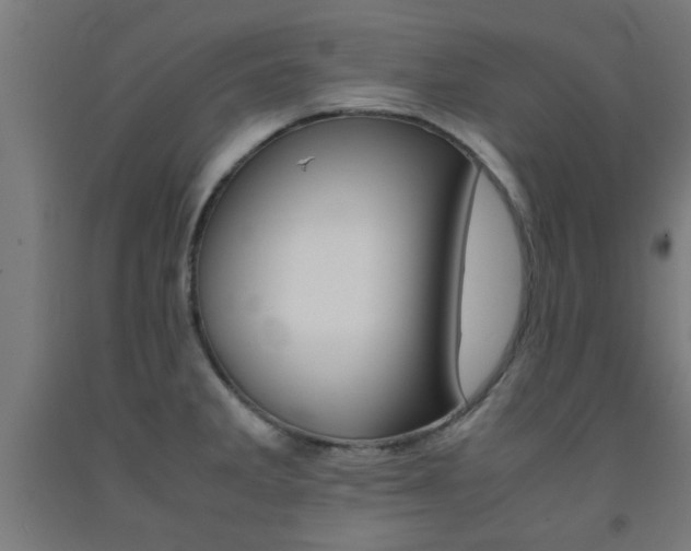 X0000093241285200709261522