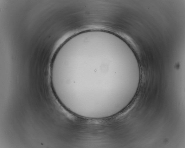 X0000093241286200709261522