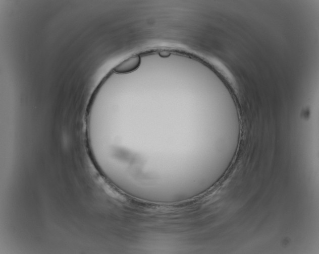 X0000093241287200709261522