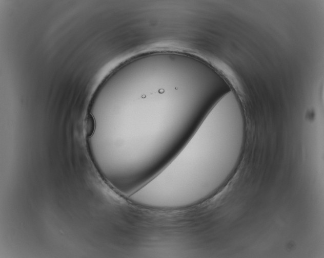 X0000093241288200709261522