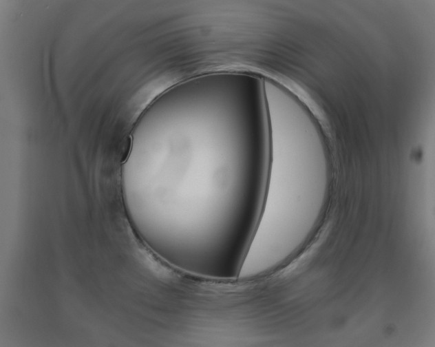 X0000093241289200709261522