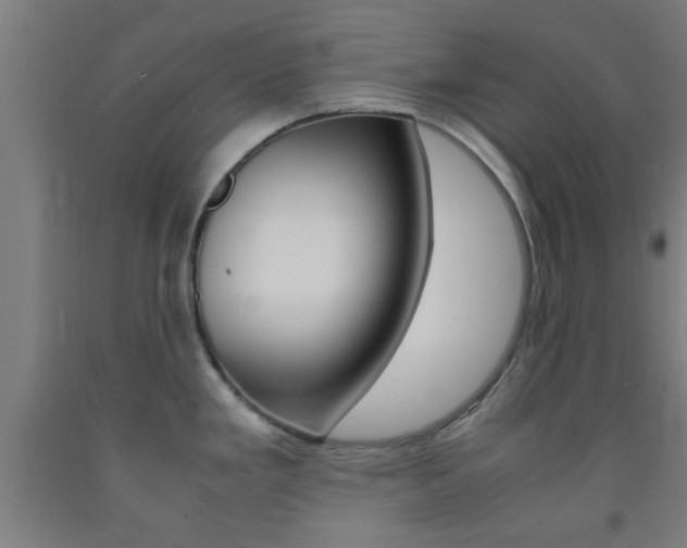 X0000093241293200709261522