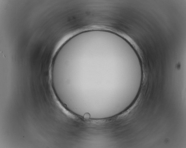 X0000093241294200709261522