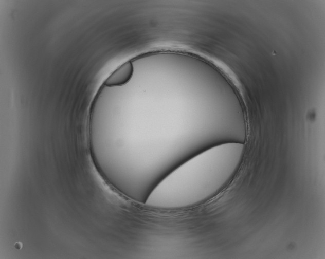 X0000093241295200709261522