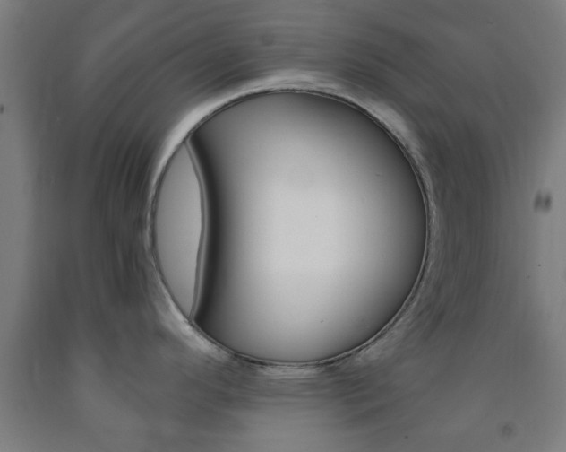 X0000093241296200709261522