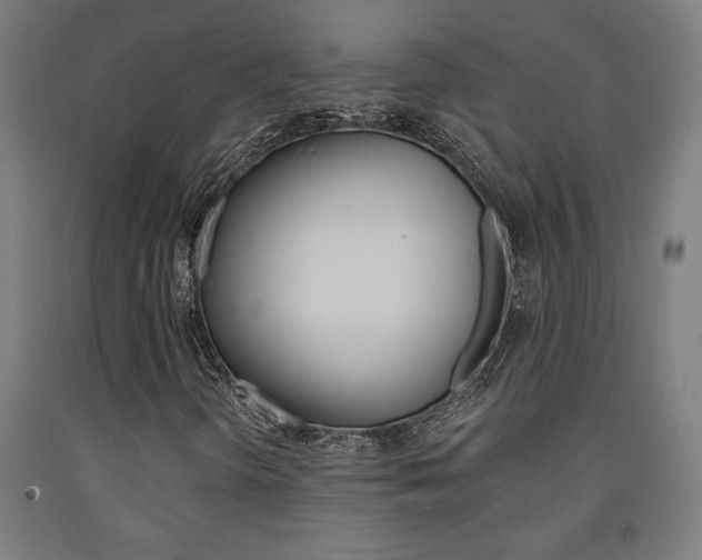 X0000093241298200709261522