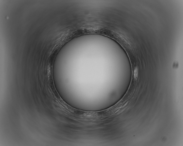 X0000093241299200709261522