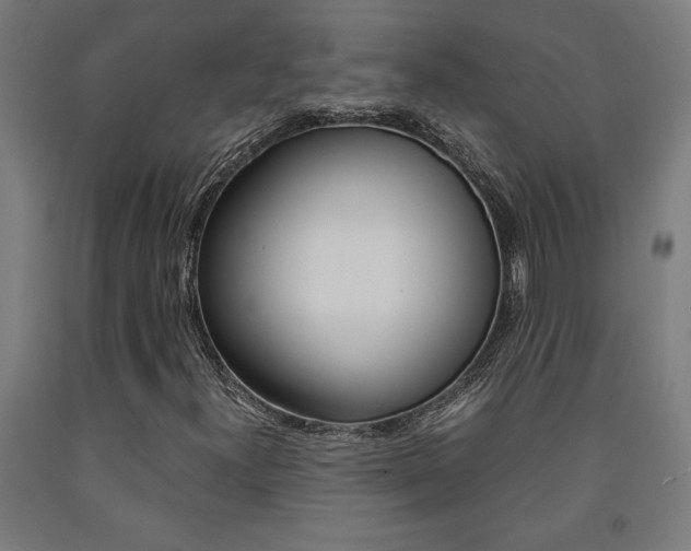 X0000093241300200709261522