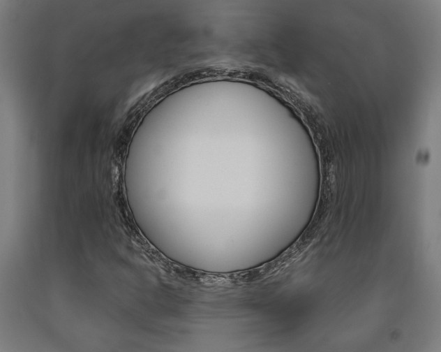 X0000093241302200709261522