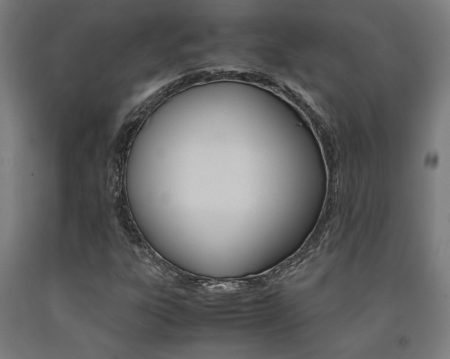 X0000093241303200709261522